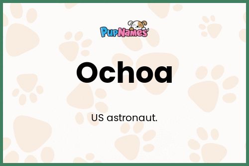 Ochoa dog name meaning