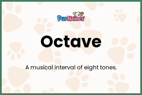 Octave dog name meaning