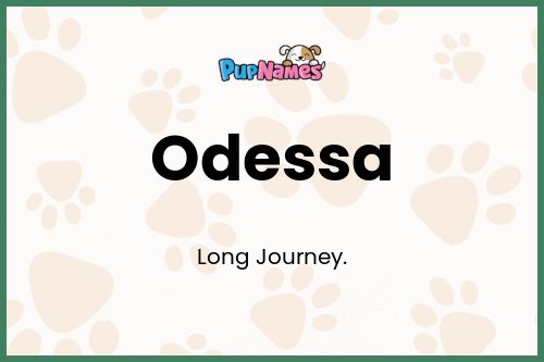 Odessa dog name meaning