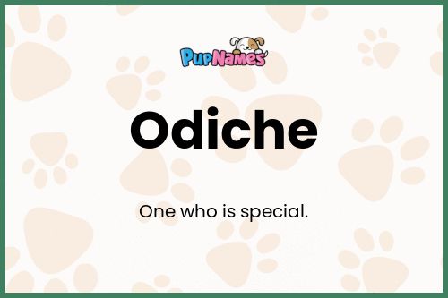 Odiche dog name meaning