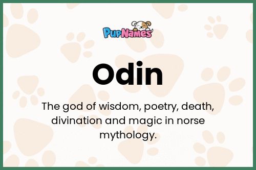 Odin dog name meaning