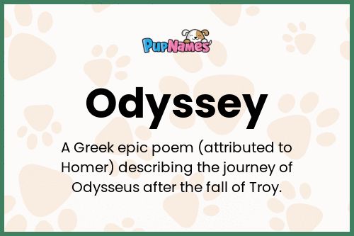 Odyssey dog name meaning