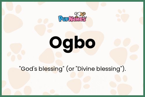 Ogbo dog name meaning