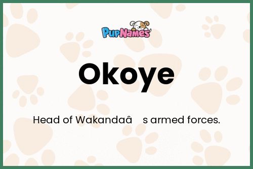 Okoye dog name meaning