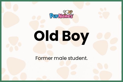 Old Boy dog name meaning