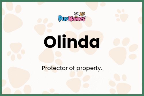 Olinda dog name meaning