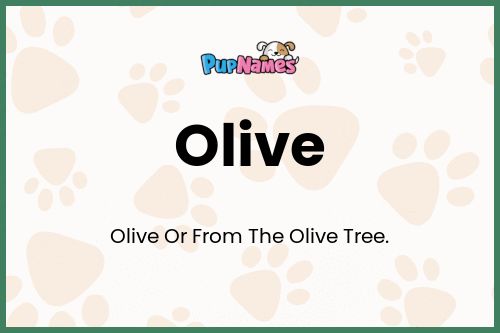Olive dog name meaning