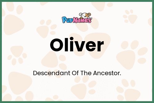 Oliver dog name meaning
