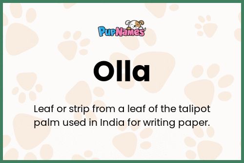 Olla dog name meaning
