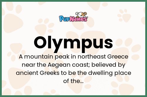 Olympus dog name meaning