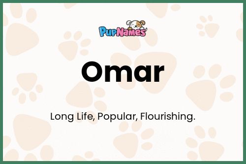 Omar dog name meaning