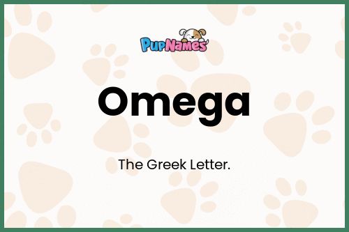 Omega dog name meaning