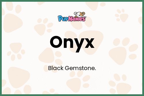 Onyx dog name meaning