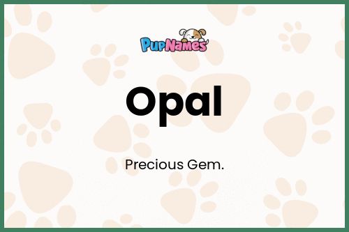 Opal dog name meaning