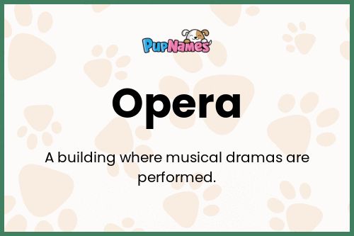 Opera dog name meaning