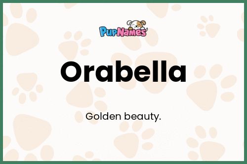 Orabella dog name meaning