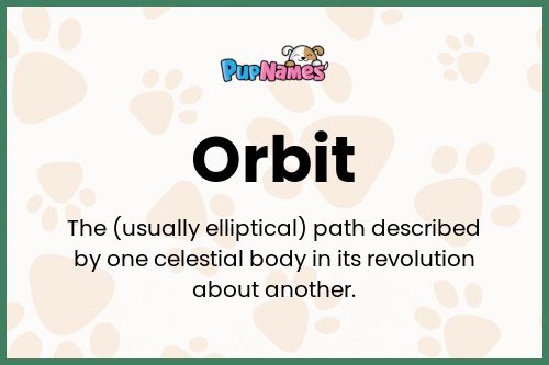 Orbit dog name meaning