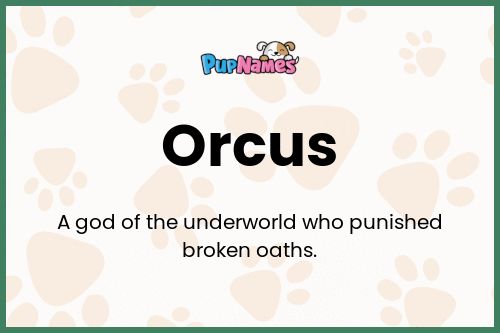 Orcus dog name meaning