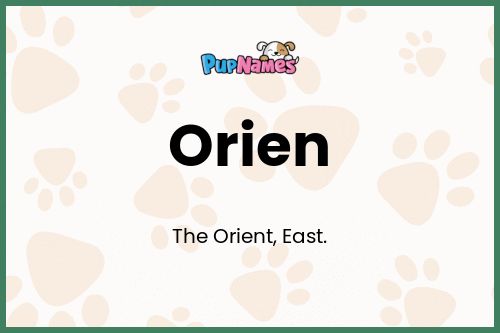 Orien dog name meaning