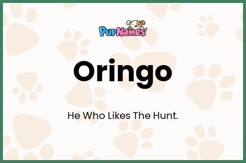 Oringo dog name meaning