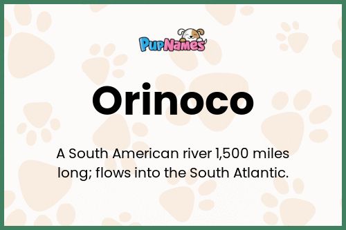 Orinoco dog name meaning