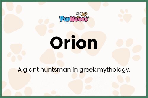 Orion dog name meaning