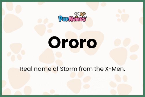 Ororo dog name meaning