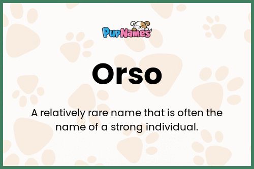 Orso dog name meaning