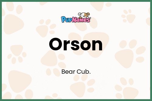 Orson dog name meaning