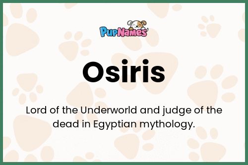 Osiris dog name meaning