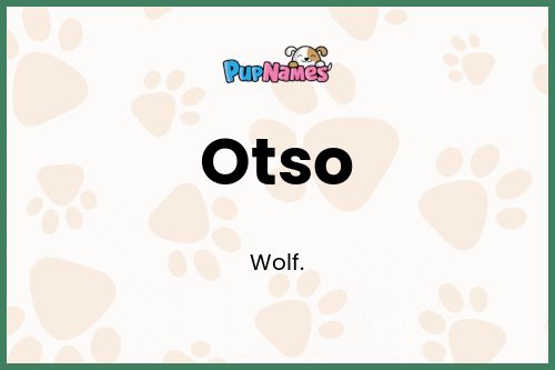 Otso dog name meaning