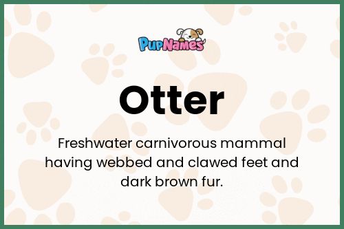 Otter dog name meaning