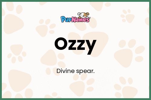 Ozzy dog name meaning