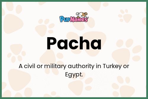 Pacha dog name meaning