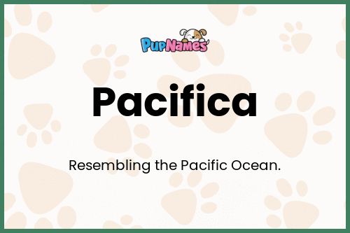 Pacifica dog name meaning