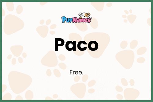Paco dog name meaning