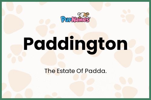 Paddington dog name meaning