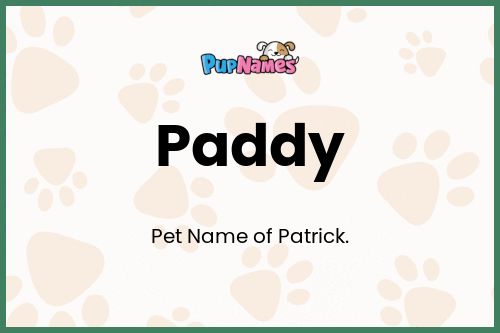 Paddy dog name meaning