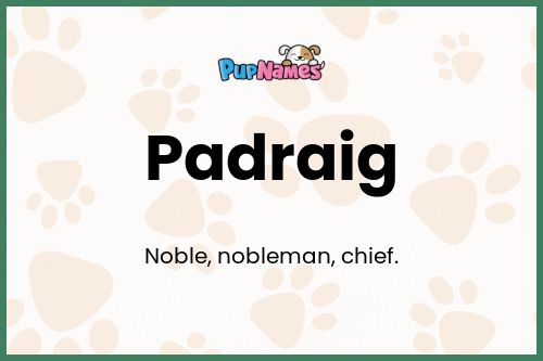 Padraig dog name meaning