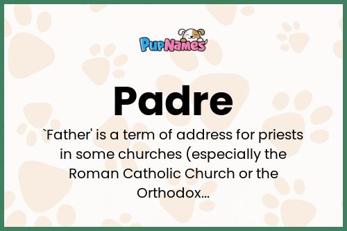 Padre dog name meaning