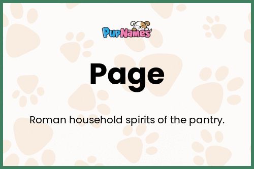 Page dog name meaning