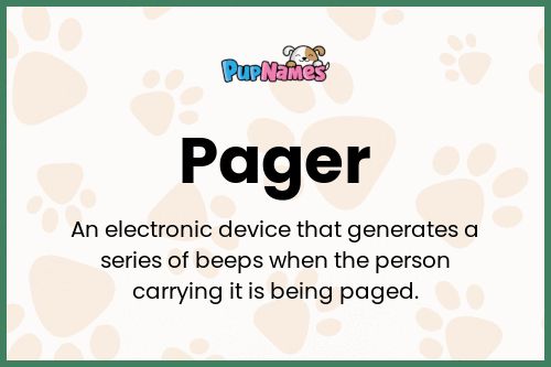 Pager dog name meaning