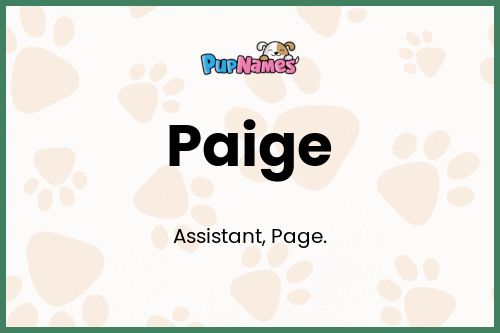 Paige dog name meaning