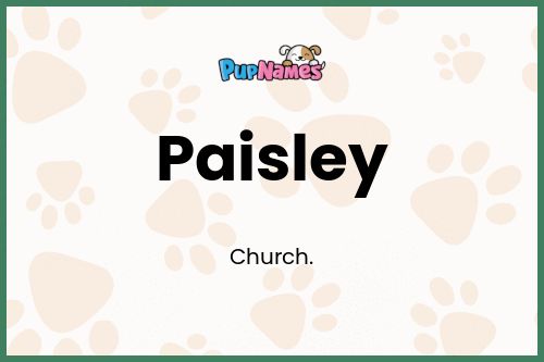 Paisley dog name meaning