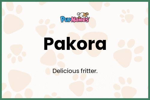 Pakora dog name meaning