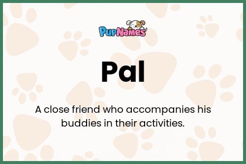 Pal dog name meaning