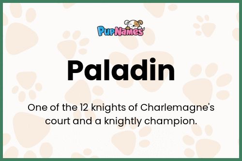 Paladin dog name meaning