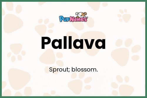 Pallava dog name meaning