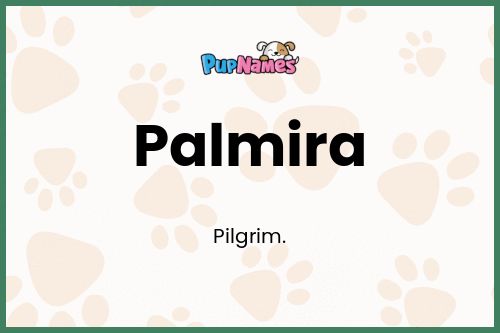 Palmira dog name meaning