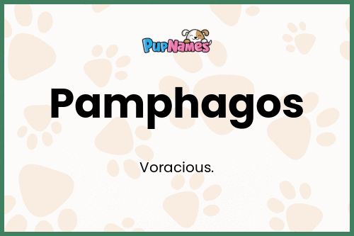 Pamphagos dog name meaning